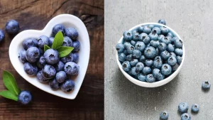 Bilberries Vs. Blueberries: Everything About These Berries