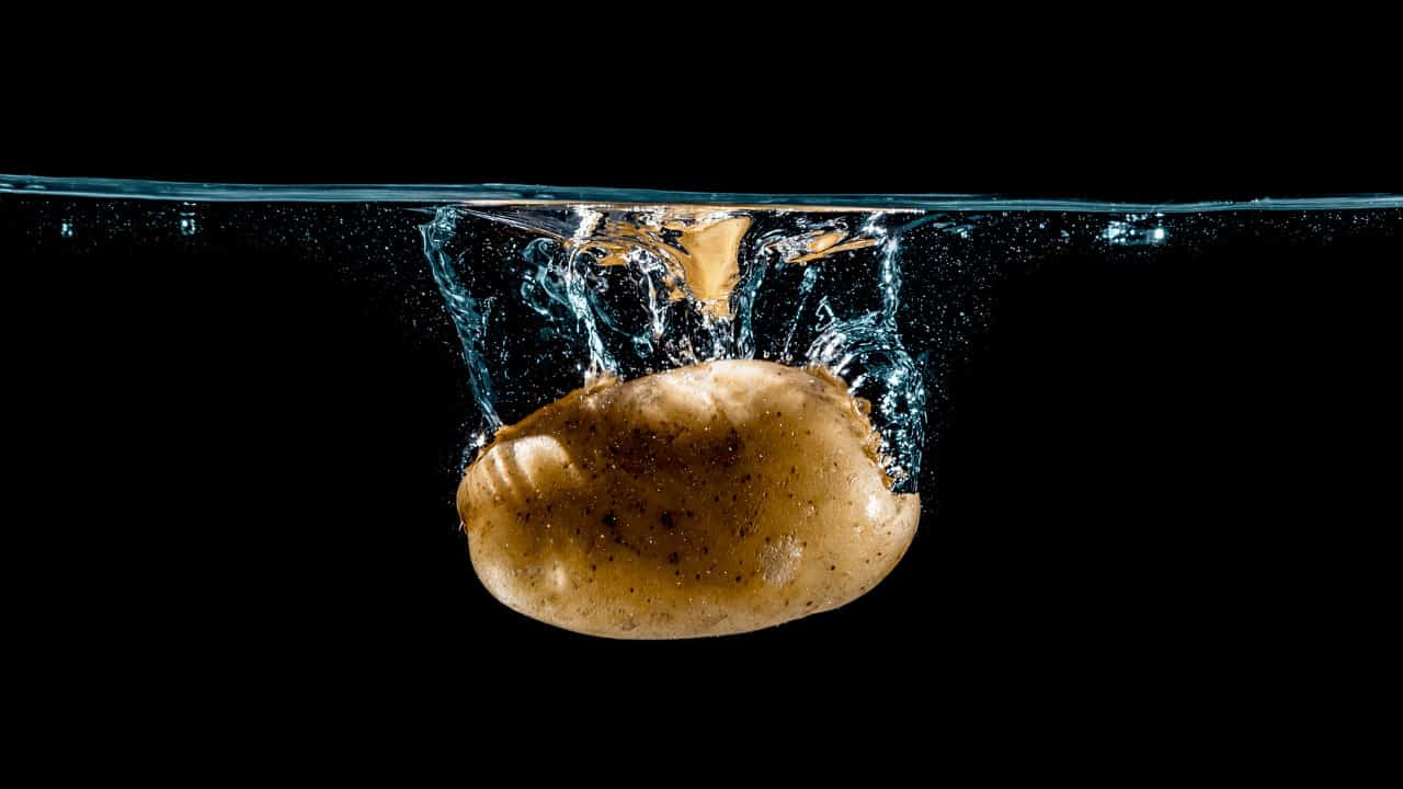 Do Potatoes Float? (Explained)